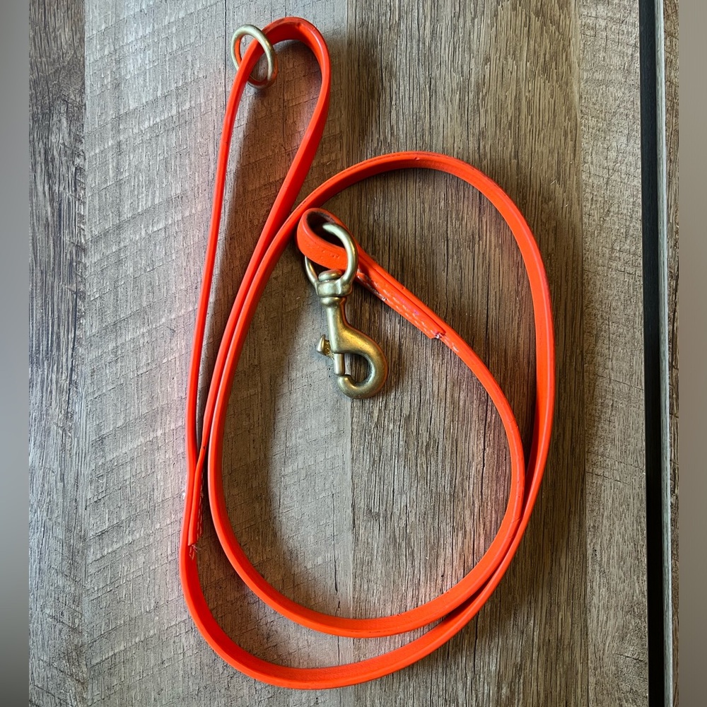 Four foot bright orange biothane dog leash with copper clasp